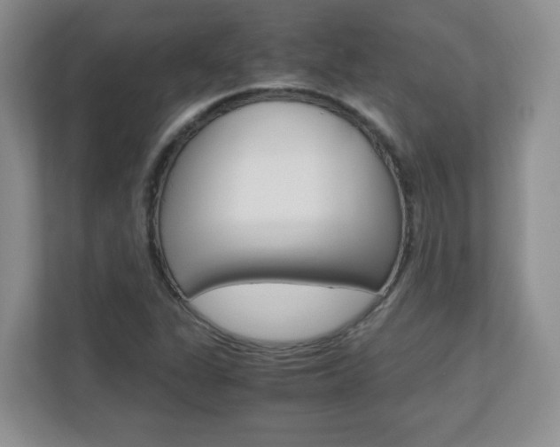 X0000110711311200906121048