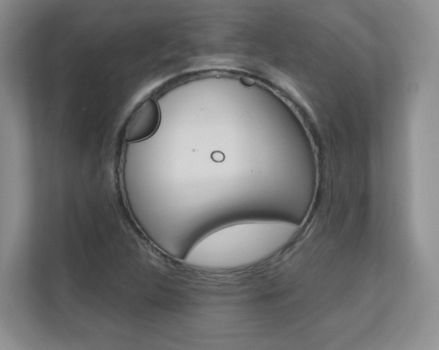 X0000110711312200906121048
