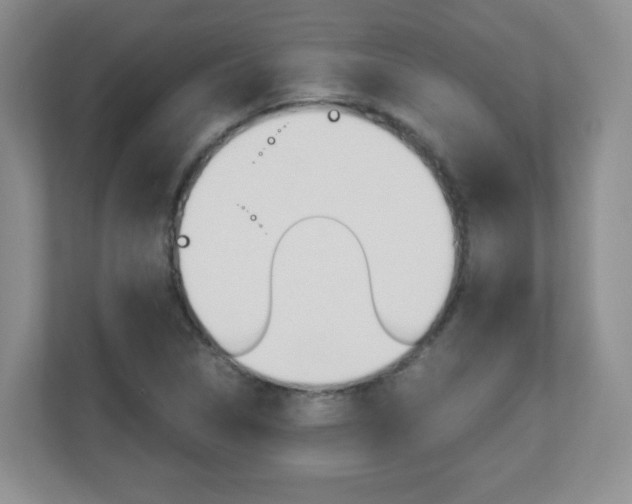 X0000110711314200906121048
