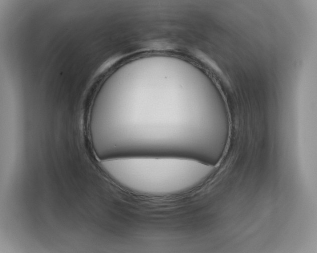 X0000110711315200906121048