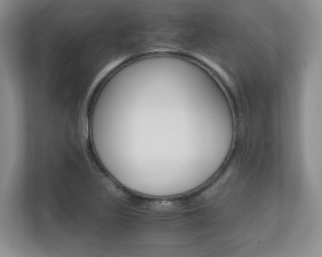 X0000110711317200906121048