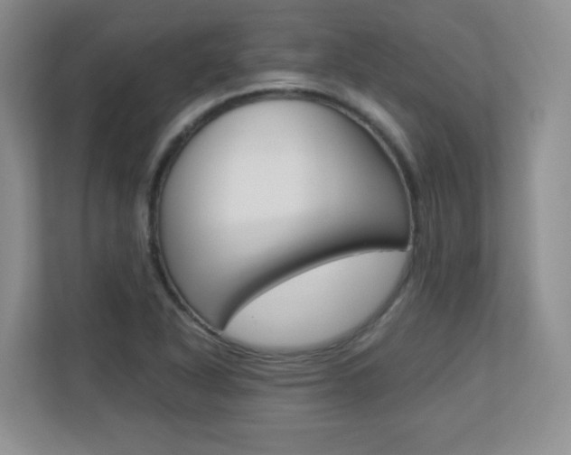 X0000110711318200906121048