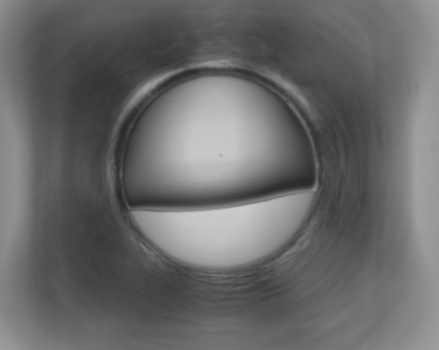 X0000110711319200906121048