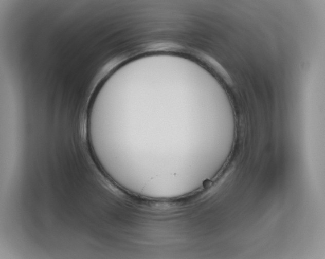 X0000110711322200906121048