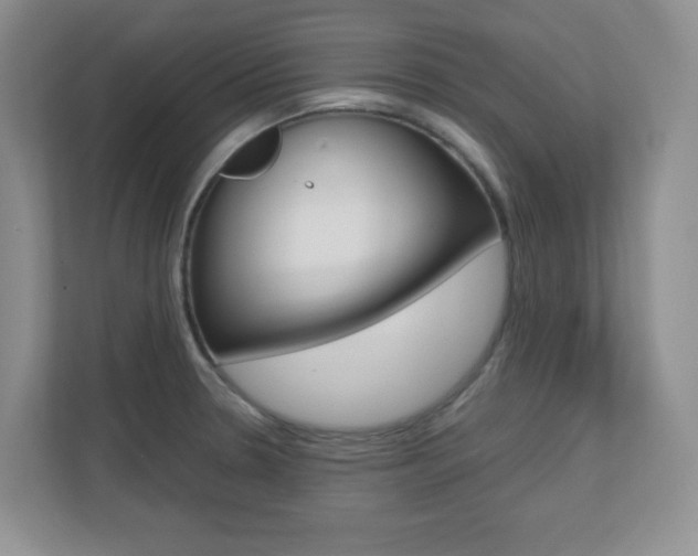 X0000110711330200906121048