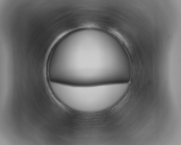 X0000110711331200906121048