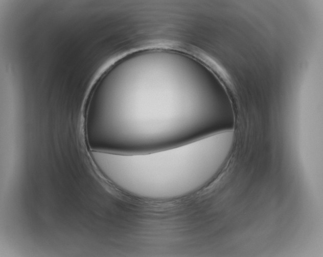 X0000110711332200906121048