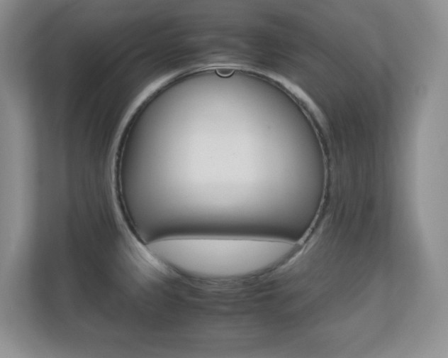X0000110711333200906121048