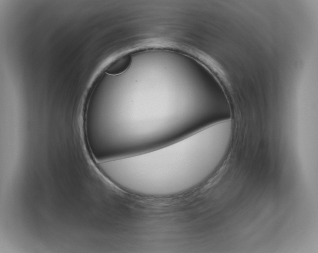 X0000110711334200906121048