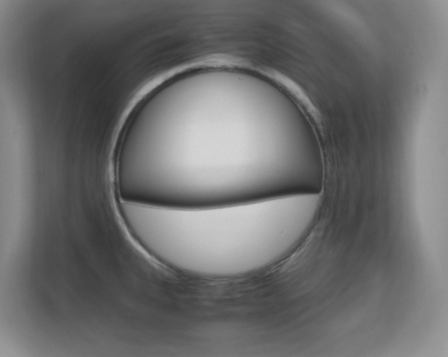 X0000110711335200906121048