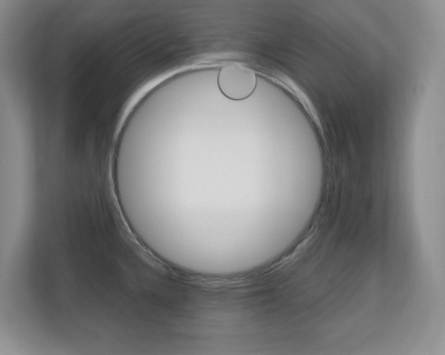X0000110711336200906121048