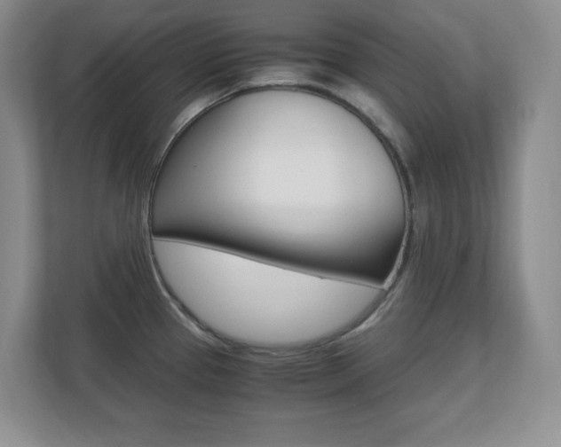 X0000110711337200906121048