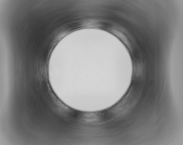 X0000110711338200906121048