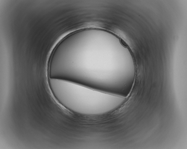 X0000110711339200906121048