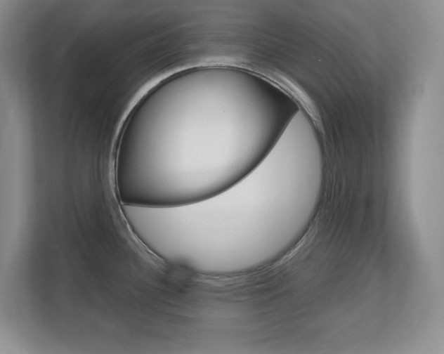 X0000110711340200906121048