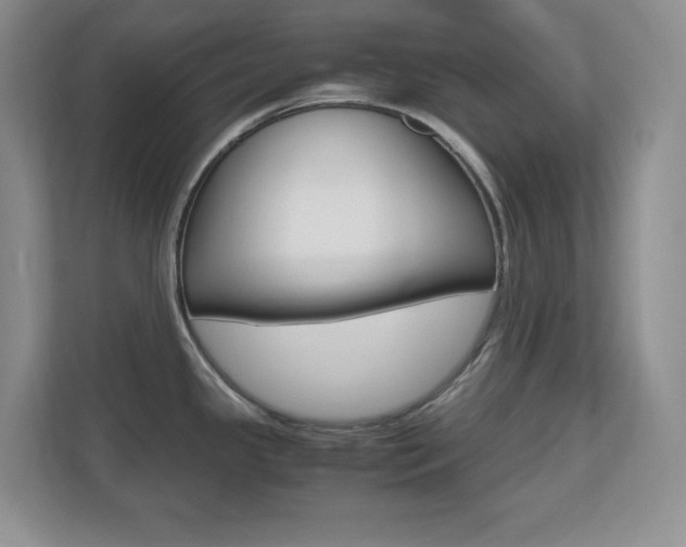 X0000110711341200906121048