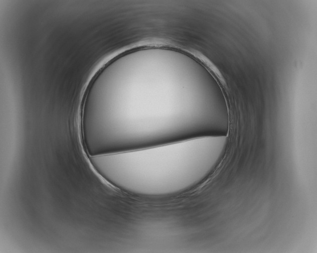 X0000110711343200906121048