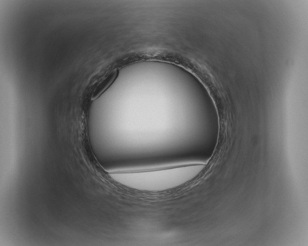 X0000110711349200906121047