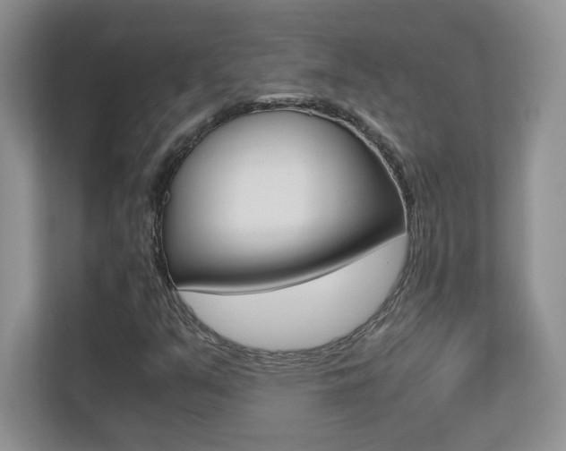 X0000110711351200906121047