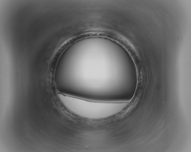 X0000110711352200906121047