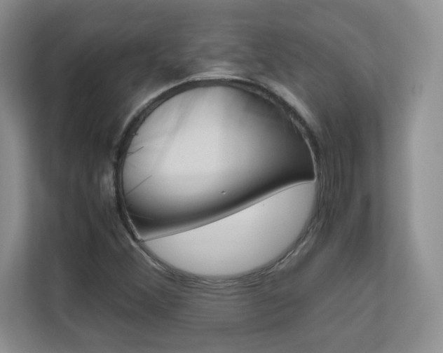 X0000110711356200906121047