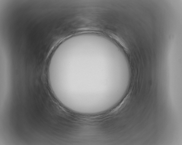 X0000110711357200906121047