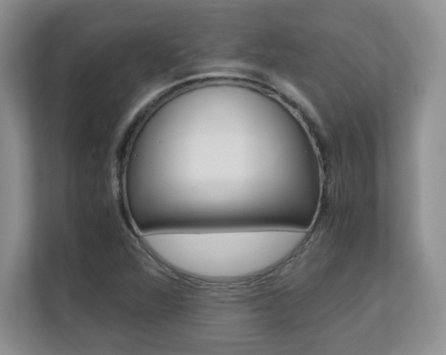X0000110711360200906121047