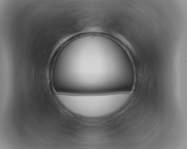 X0000110711364200906121047
