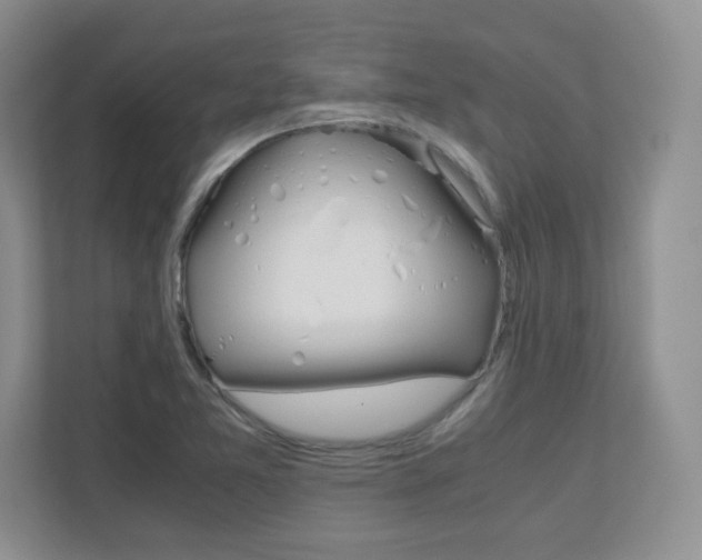 X0000110711365200906121047