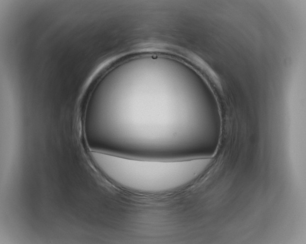 X0000110711368200906121047