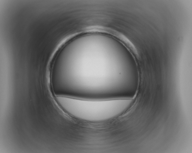 X0000110711376200906121047