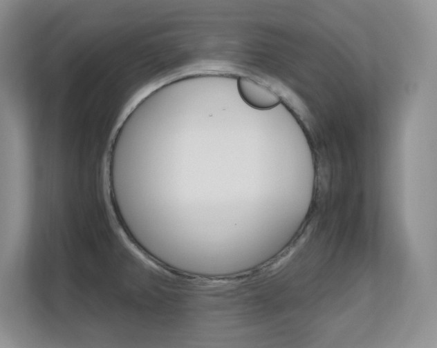 X0000110711382200906121047