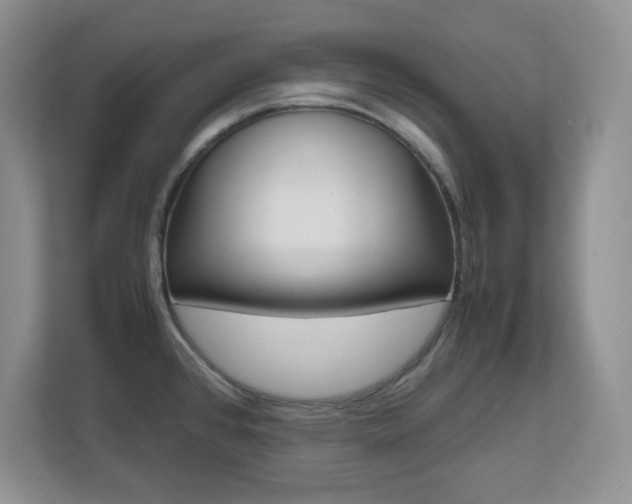 X0000110711384200906121047