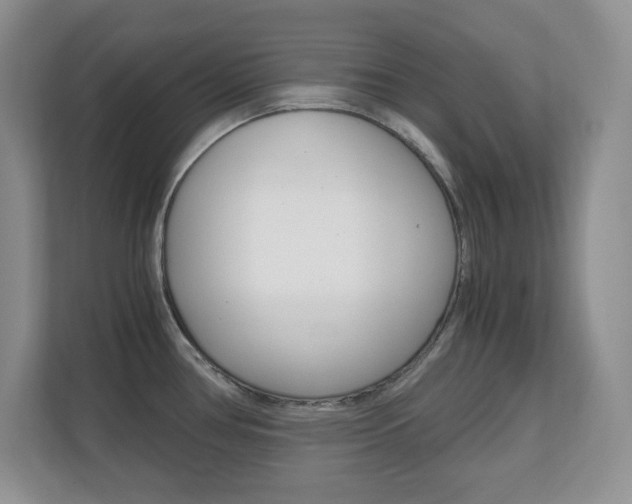 X0000110711386200906121047