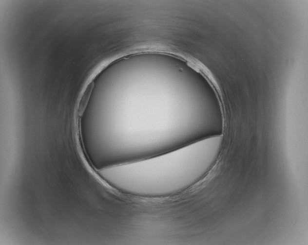 X0000110711389200906121047