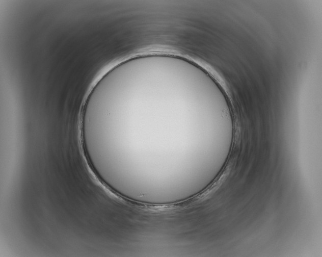X0000110711390200906121047