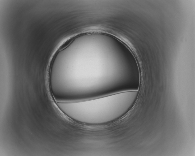 X0000110711392200906121047