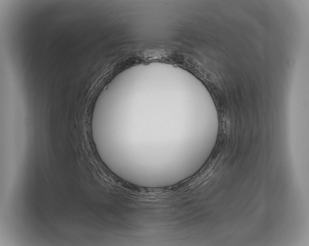 X0000110711393200906121046