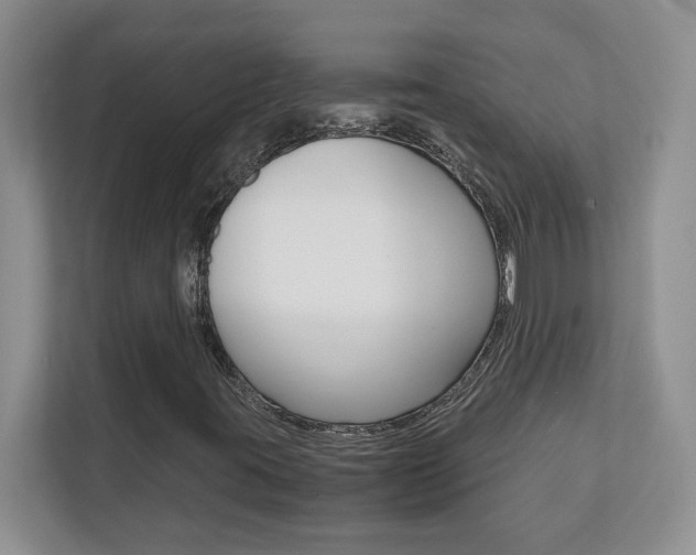 X0000110711395200906121046