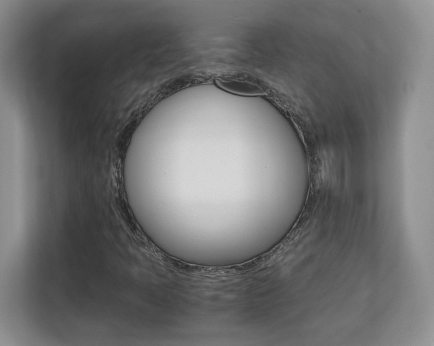 X0000110711397200906121046