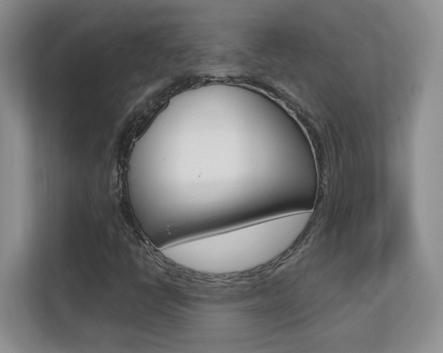 X0000110711398200906121046