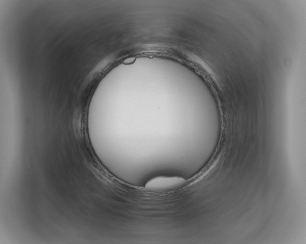 X0000110711403200906121046