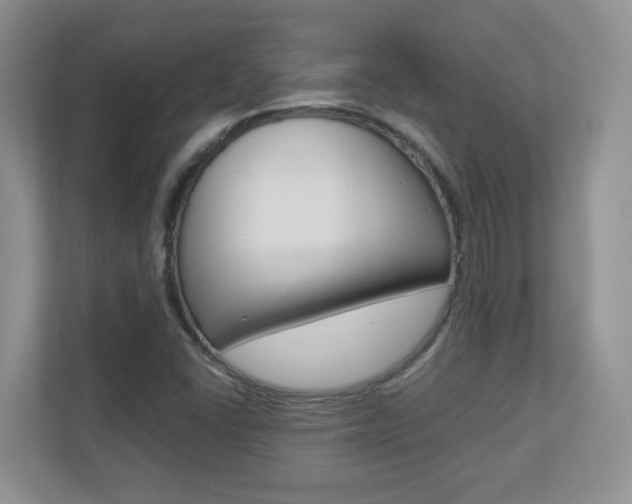 X0000110711406200906121046