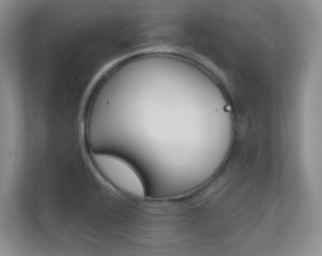 X0000110711416200906121047