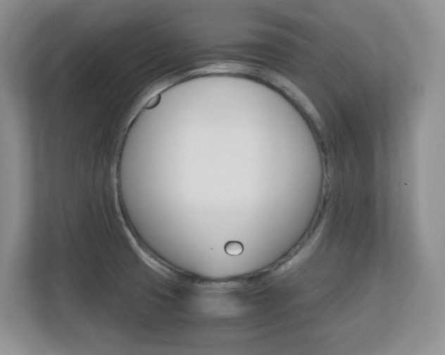 X0000110711425200906121047