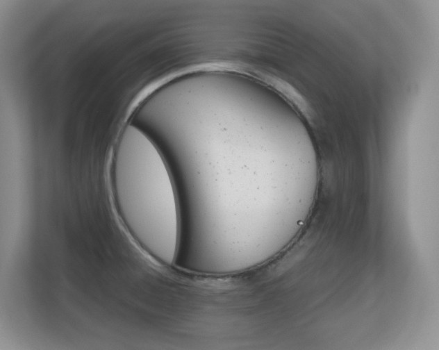 X0000110711428200906121047