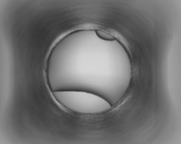 X0000110711429200906121047