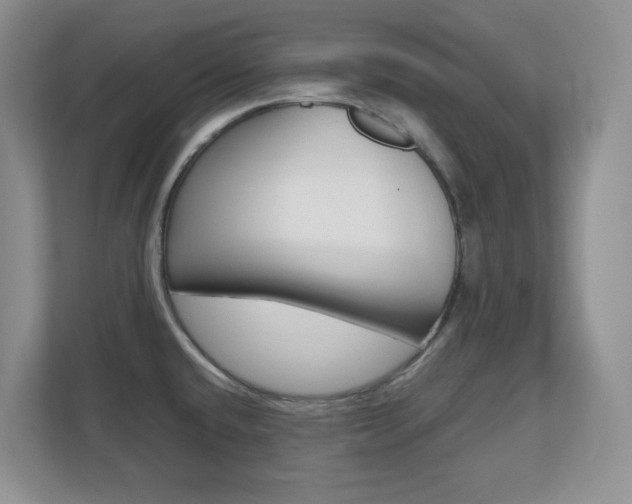 X0000110711432200906121047
