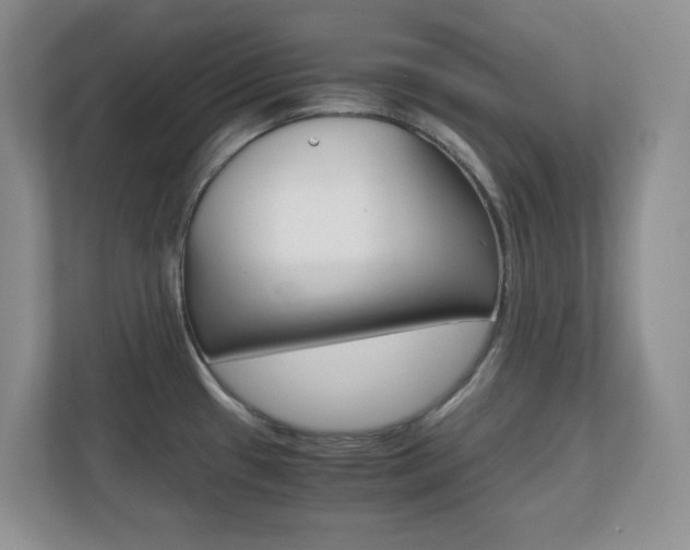X0000110711433200906121047