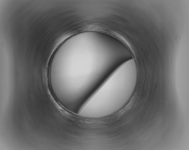X0000110711434200906121047
